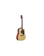 Acoustic and Electro-Acoustic Guitars